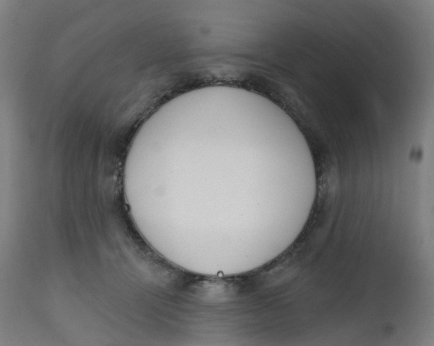 X0000112500464200909071249