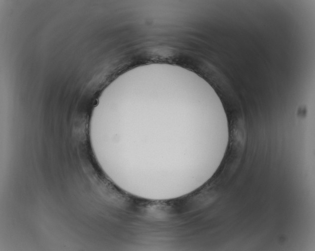 X0000112500468200909071249