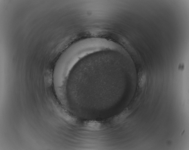 X0000112500471200909071249