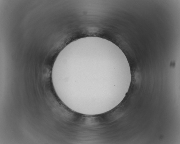 X0000112500472200909071249