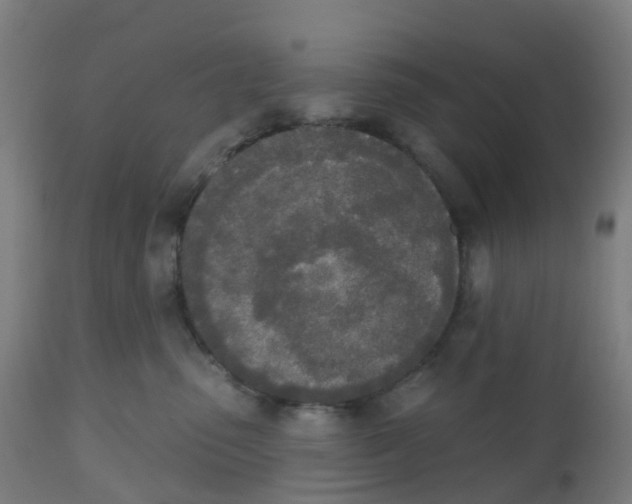 X0000112500475200909071249