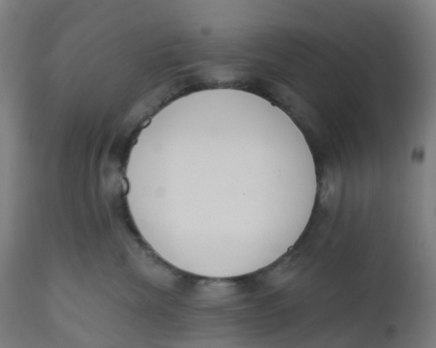 X0000112500476200909071249