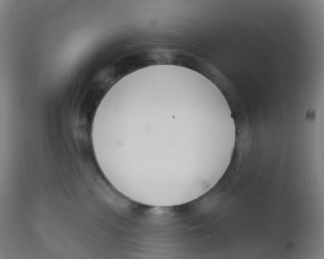 X0000112500477200909071249