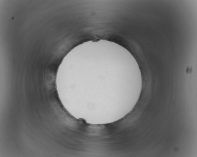 X0000112500480200909071249