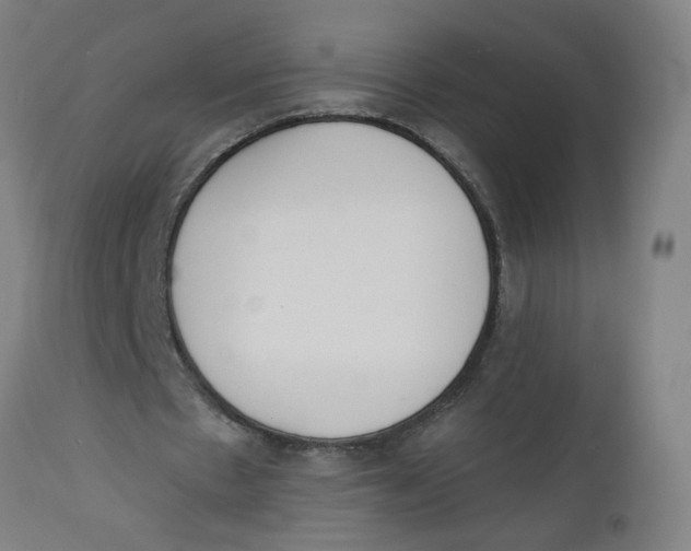 X0000112500481200909071249