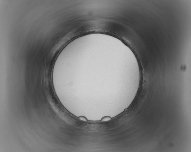 X0000112500482200909071249