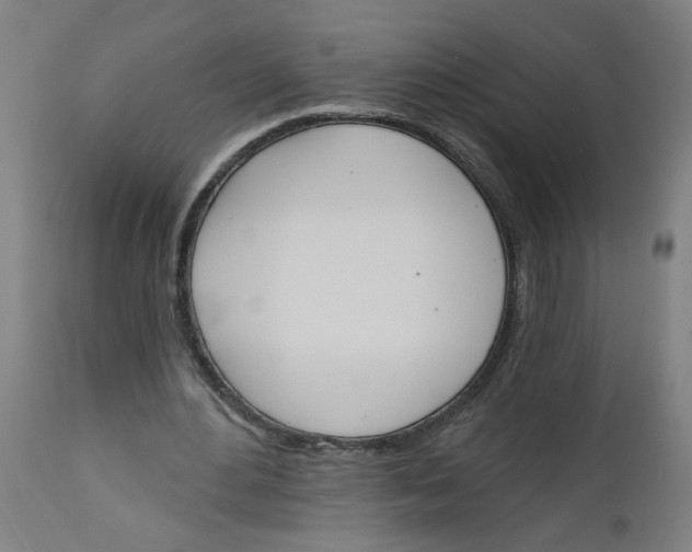 X0000112500484200909071248