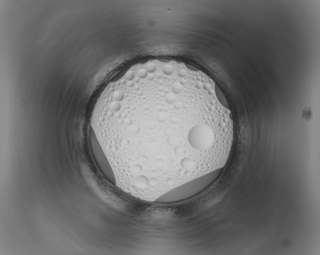 X0000112500491200909071248