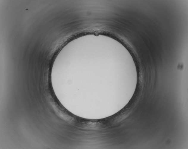 X0000112500493200909071248