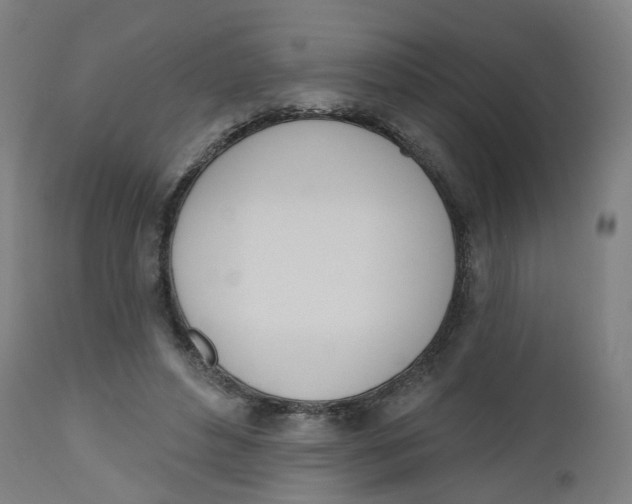 X0000112500496200909071248