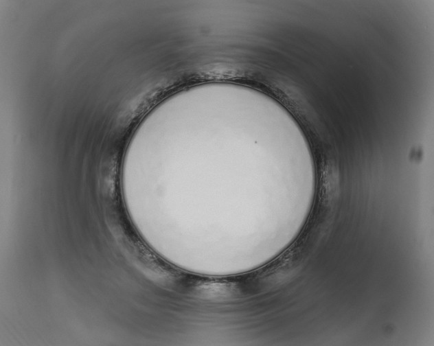 X0000112500499200909071248