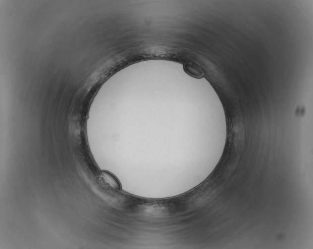 X0000112500500200909071248