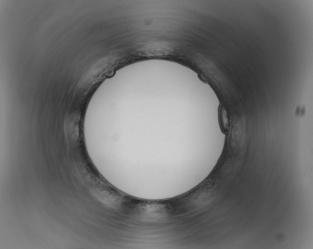 X0000112500501200909071248