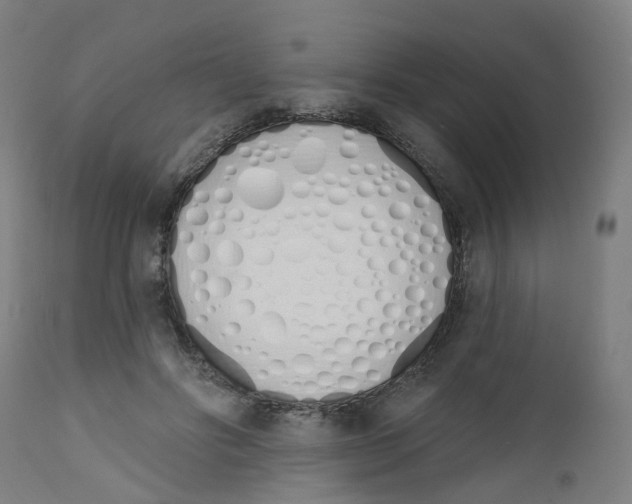 X0000112500502200909071248