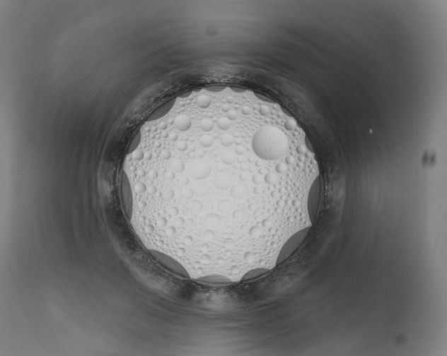 X0000112500503200909071248