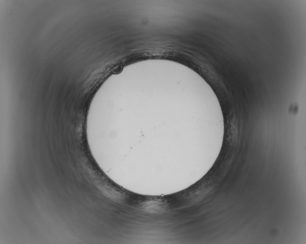 X0000112500505200909071248