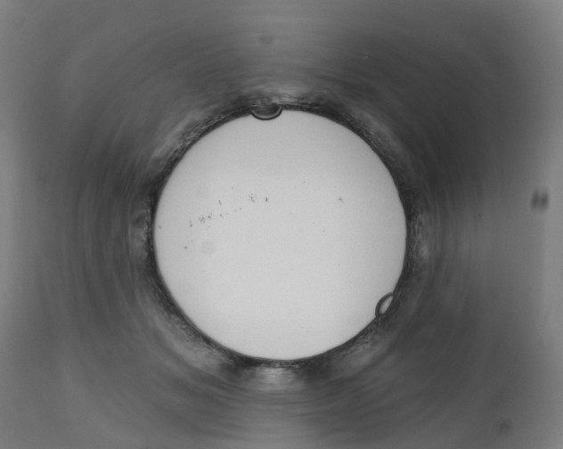 X0000112500509200909071248