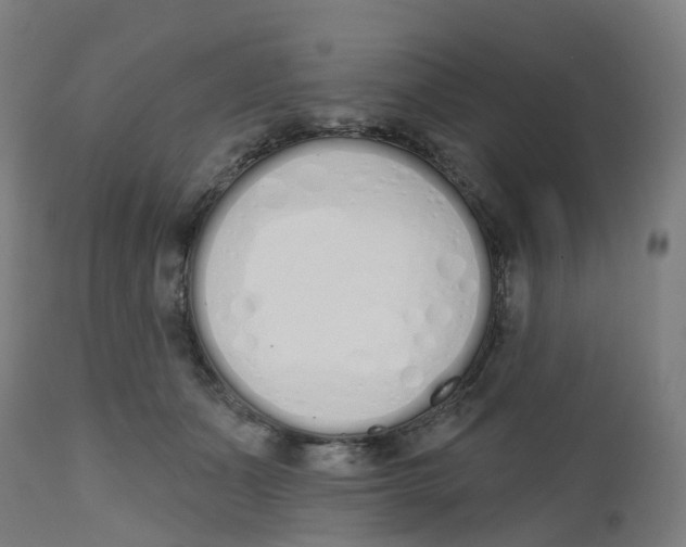 X0000112500511200909071248