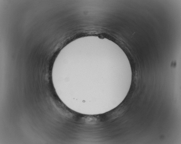 X0000112500512200909071248