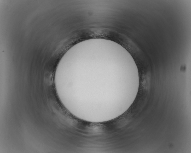 X0000112500514200909071248