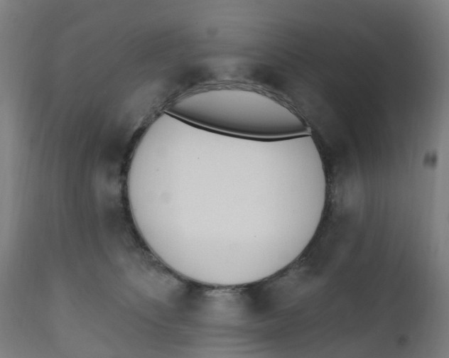 X0000112500516200909071248