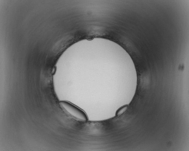 X0000112500517200909071248