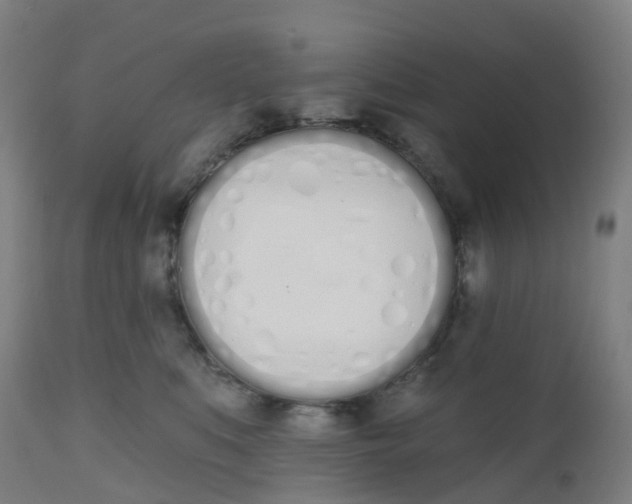 X0000112500519200909071248