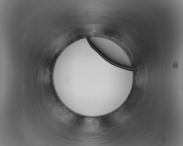 X0000112500520200909071248