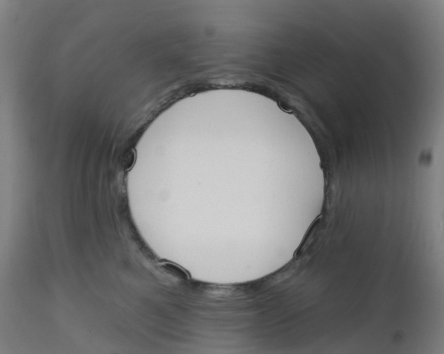 X0000112500521200909071248