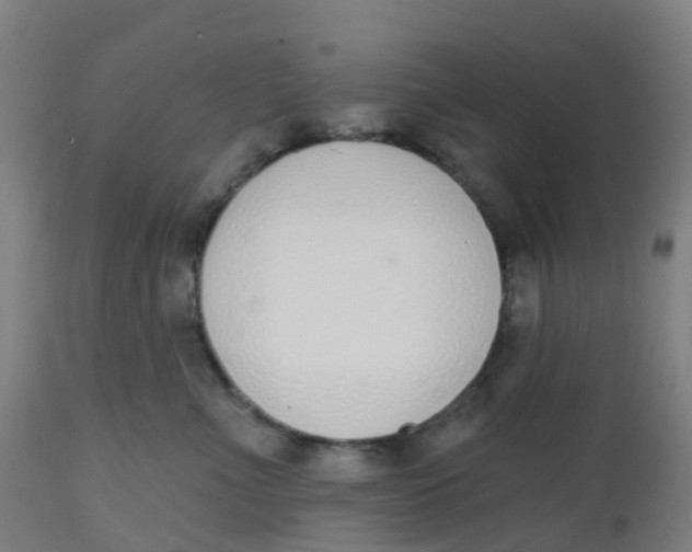 X0000112500523200909071248