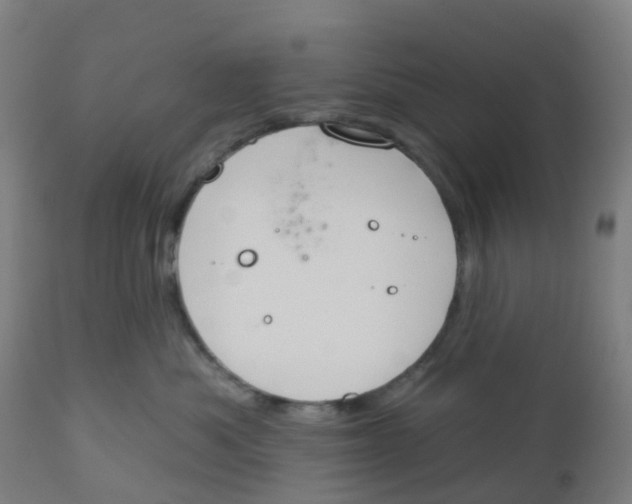 X0000112500525200909071248