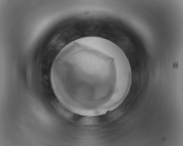 X0000112500526200909071248