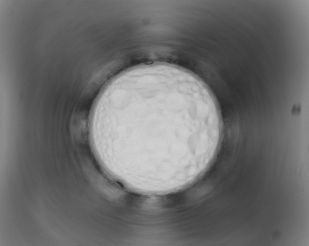 X0000112500527200909071248