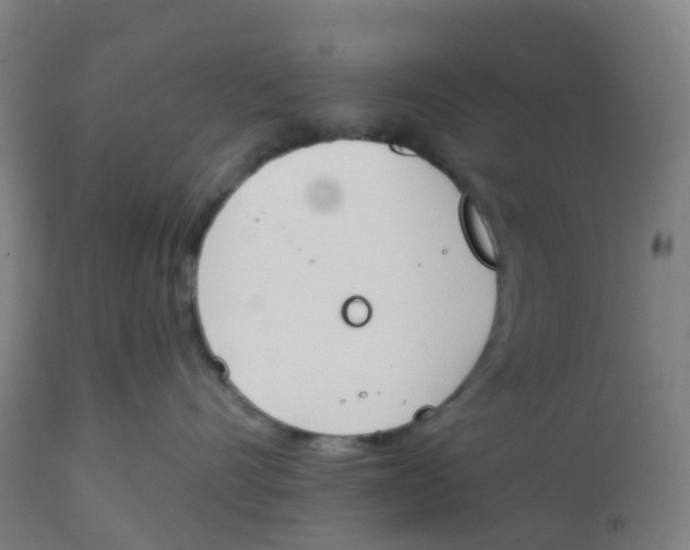 X0000112500528200909071248