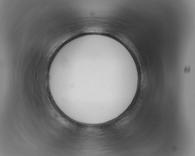 X0000112500529200909071247