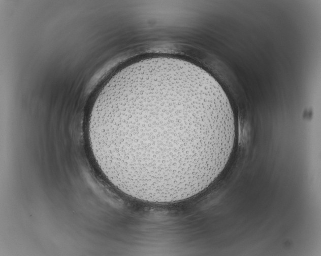 X0000112500531200909071247