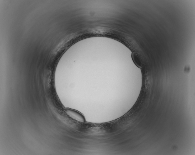 X0000112500544200909071247