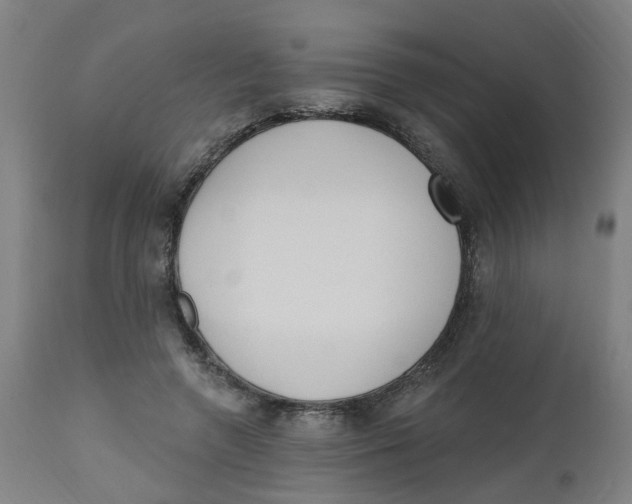 X0000112500546200909071247