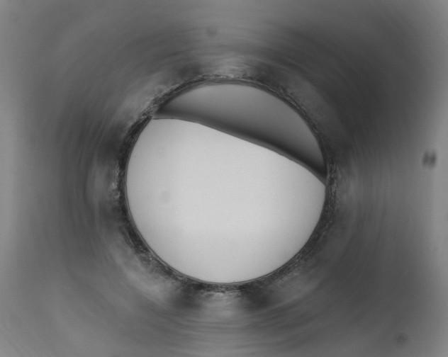 X0000112500548200909071247