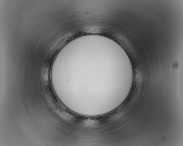 X0000112500549200909071247