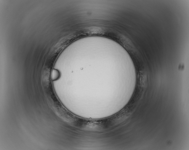 X0000112500550200909071247