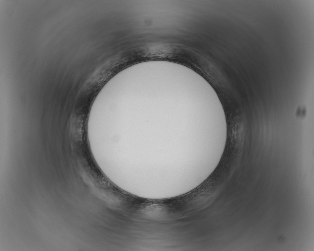 X0000112500551200909071247