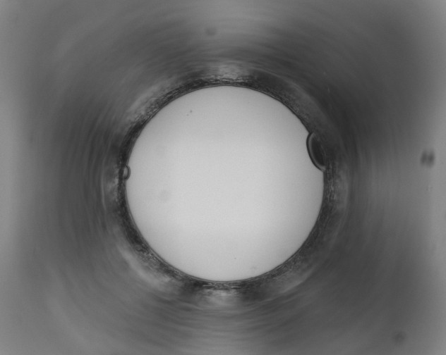 X0000112500552200909071247