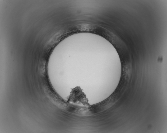 X0000112500554200909071247