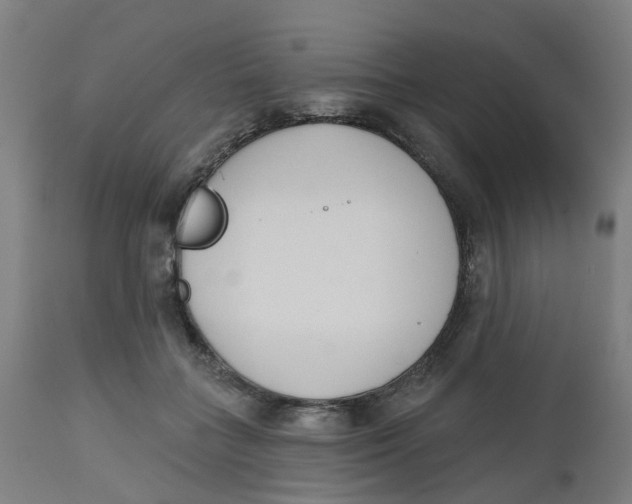 X0000112500555200909071247