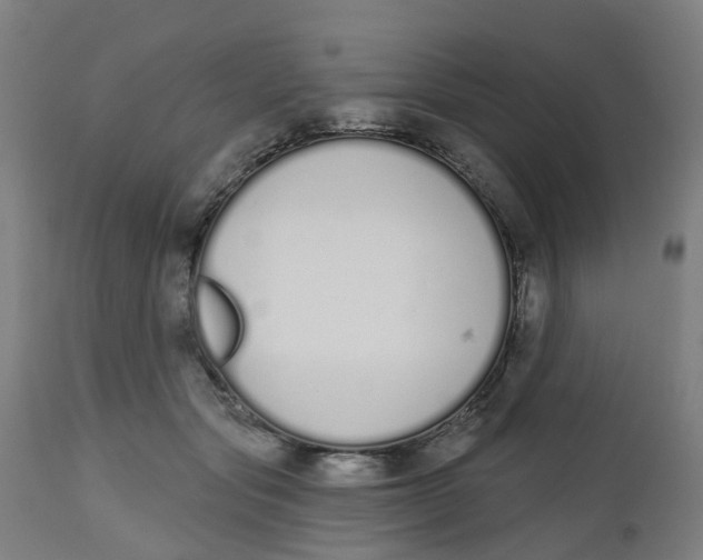 X0000112500557200909071247