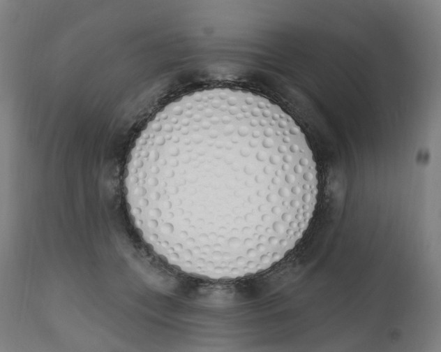 X0000112500559200909071247