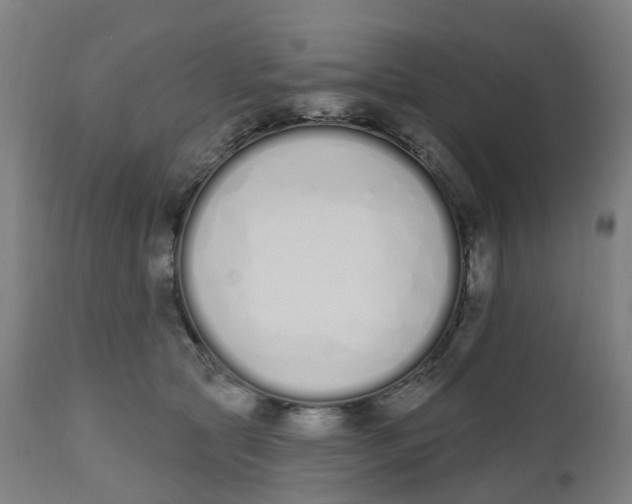 X0000112500561200909071247