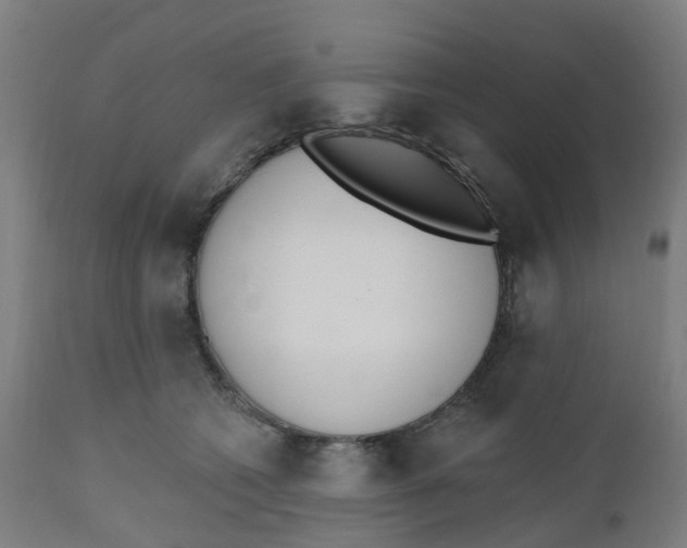 X0000112500562200909071248