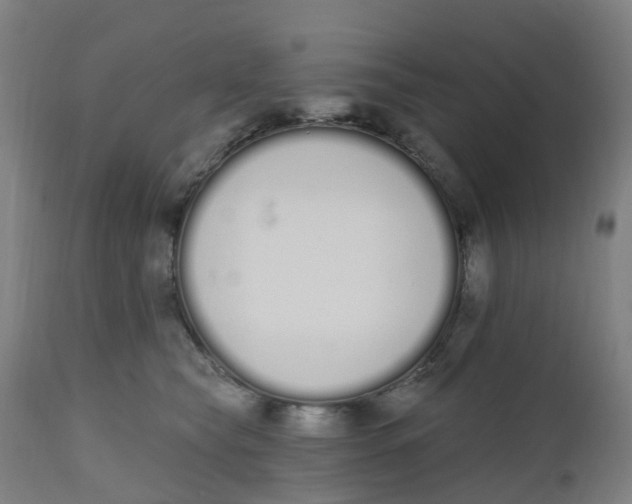 X0000112500565200909071248